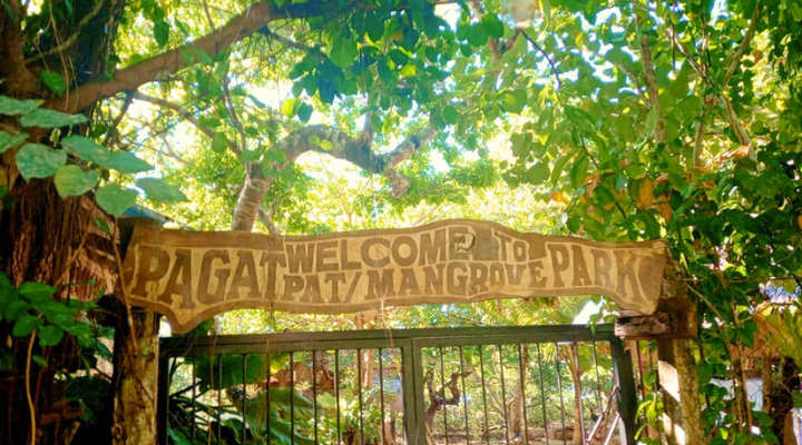7 Pagatpat Mangrove Park